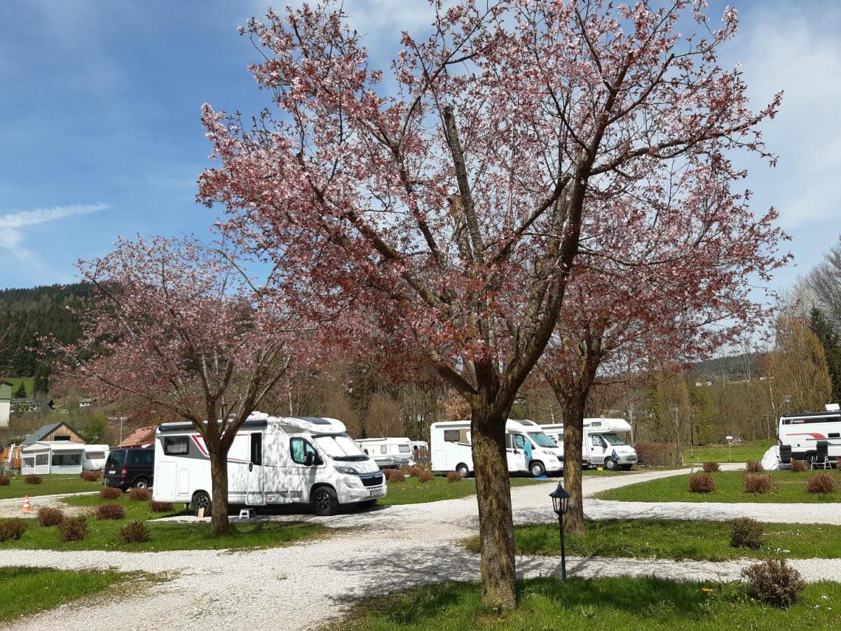 Campingfass Almtal Scharnstein Exterior foto