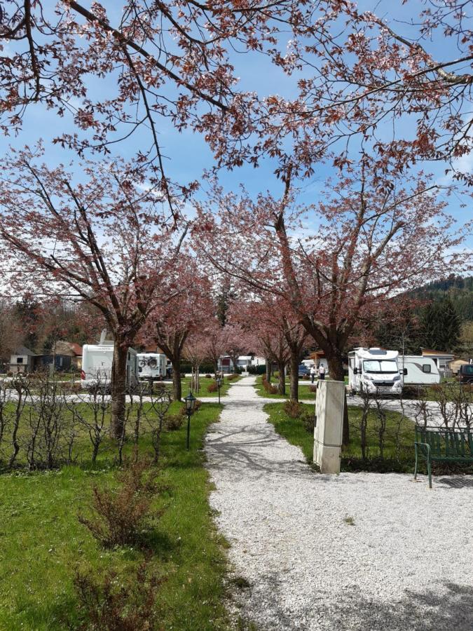 Campingfass Almtal Scharnstein Exterior foto